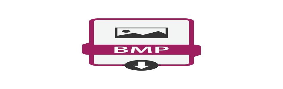Everything You Need to Know About the BMP Image Format
